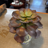 Faux Succulent