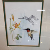 Humminbirds signed Sue Colman