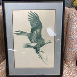 Eagle Signed/Number Rohand 1975