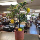 Faux Lemon Tree in Planter