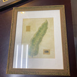 Botanical Lithograph - Banana Palm