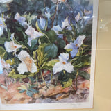 Trillium Woods Signed/numbered Kathleen Chaney Fritz