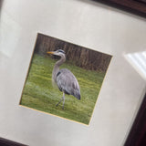 Great Blue Heron Print