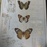 Three Butterfly Print on Canvas
