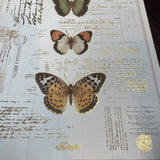 Three Butterfly Print on Canvas