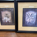 Palm Framed Prints