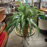 Pier 1 Fern in Stand