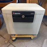 Sentry Safe