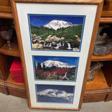 Mt Ranier Photography Triptych