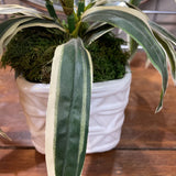 Faux Plant in Planter