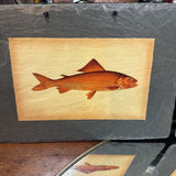 Sheatfish or Grayling Print on Slate Tile