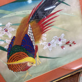 Golden Pheasant w Orchids