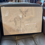 Fawn (Deer) Pencil Drawing by MK Edwards