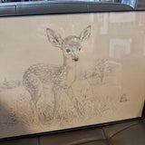 Fawn (Deer) Pencil Drawing by MK Edwards