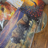 Assorted Art Canvases