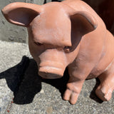 Large Ceramic/Terracotta Pig Statue