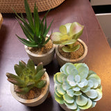Tiny Faux Succulent