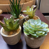 Tiny Faux Succulent