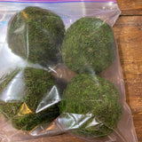 Set of 4 Moss Balls