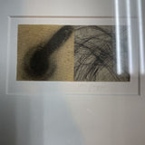 Joni Papp Signed Art