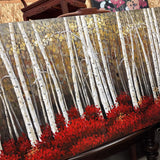 Birch Trees Large Canvas