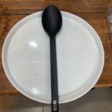Kitchen Spoon