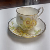 Wild Rose Cup & Saucer