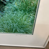 Signed Rainforest Photo