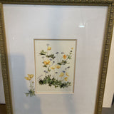 Framed Floral Watercolor