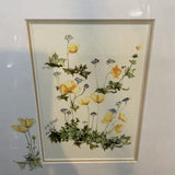 Framed Floral Watercolor