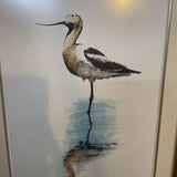 Numbered, Signed Bird Print