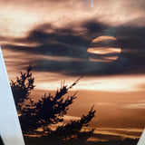 Signed/Numbered Photograph Print of Moon