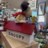 Snoopy Mailbox