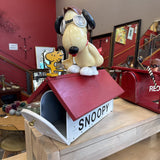 Snoopy Mailbox