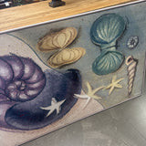 Original Seashell Art