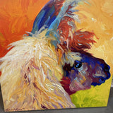 Large Canvas Print Picture of Llama