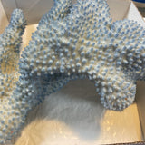 Large Blue Coral
