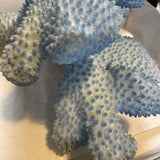 Large Blue Coral