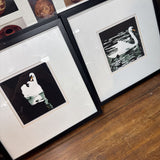 Swan Graphic Art