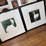 Swan Graphic Art