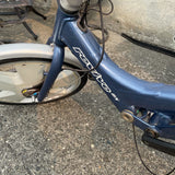 Giant Revive DX Semi-Recumbent Bicycle