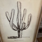 Cactus Print Art