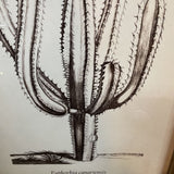 Cactus Print Art