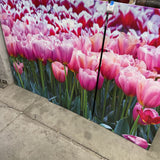 Triptych Printed Canvases of Tulips