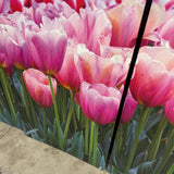Triptych Printed Canvases of Tulips