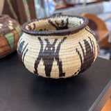 Rainforest Basket