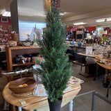 Cedar Topiary