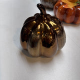 Assorted Fall Pumpkins