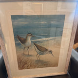 Pair of Sandpipers by the Ocean