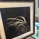 Black/White Kelp Photo Print